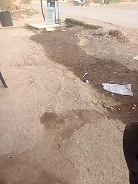 punecouplegroup online show from 04.25.26