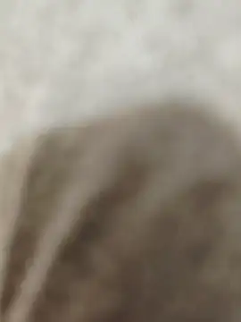 Indian groupxxx online show from 12.16.25