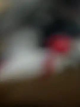 Sammyboii006 online show from 02.11.26