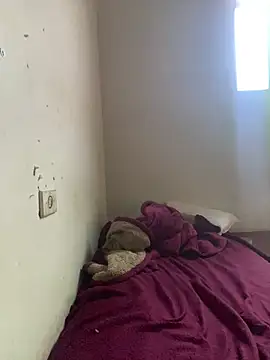 eu laura online show from 01.07.26