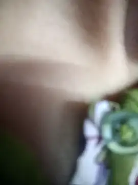 Eva 890 online show from 03.29.26