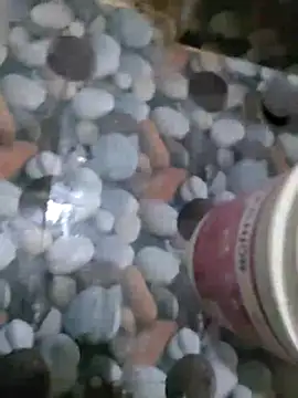 hydhunk26 online show from 03.08.26