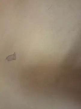 Snapshot of yourburget chatting on 02.19.26 yourburget online show from 02.19.26