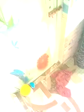 Hooghlypinkivabi online show from 01.10.26