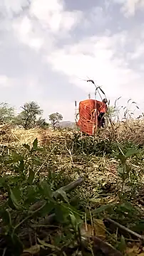 hornycouple20000 online show from 03.19.26