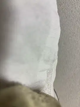 maonyan6 online show from 02.13.26