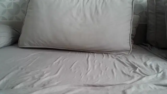 Snapshot of apollo81 chatting on 02.18.26 apollo81 online show from 02.18.26