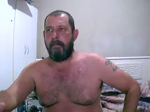 palmview2 online show from 02.19.26