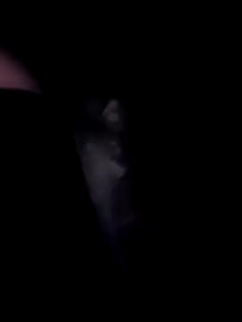 Snapshot of SweetTastes chatting on 02.21.26 SweetTastes online show from 02.21.26