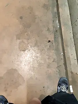 TAMI61 online show from 02.04.26