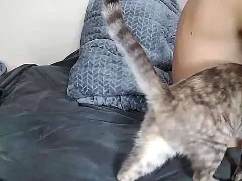 chris aitrix online show from 01.08.26