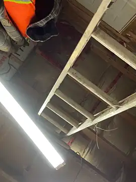 WIDBIGWHITECOCK online show from 02.18.26