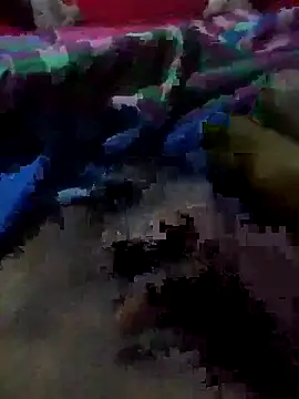 wasalasa online show from 01.18.26