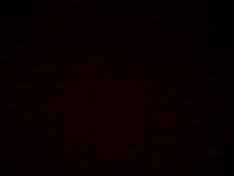  Daisy online show from 04.05.26