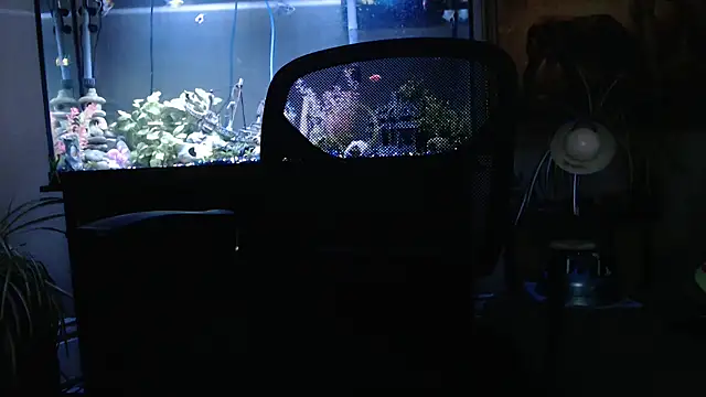 EspanolVato online show from 03.26.26