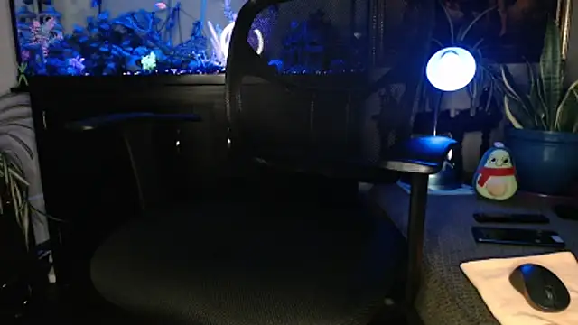 EspanolVato online show from 03.30.26