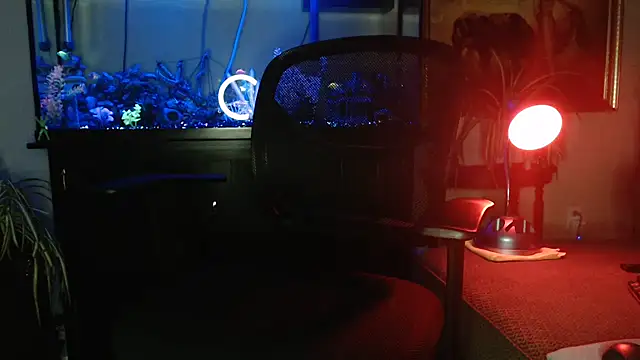 EspanolVato online show from 04.16.26