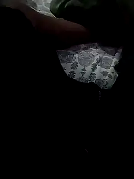 Snapshot of Fibhr56 chatting on 03.04.26 Fibhr56 online show from 03.04.26