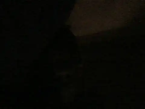 Snapshot of kwandero1234 chatting on 01.09.26 kwandero1234 online show from 01.09.26