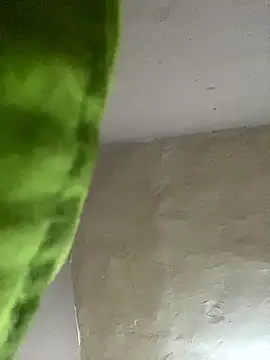 Snapshot of kwandero1234 chatting on 01.12.26 kwandero1234 online show from 01.12.26