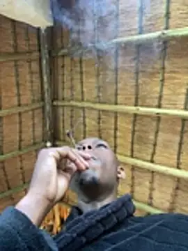 Snapshot of kwandero1234 chatting on 01.14.26 kwandero1234 online show from 01.14.26