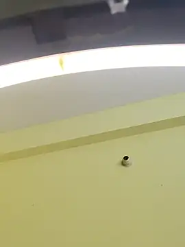 trinasa online show from 01.09.26