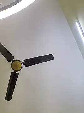 trinasa online show from 01.10.26