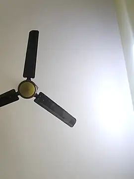 trinasa online show from 01.12.26