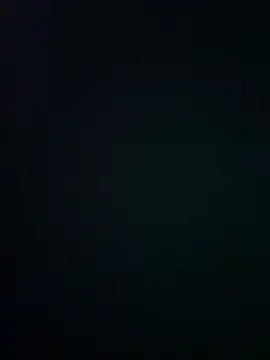 wy2026 online show from 03.12.26