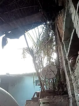 Hasmi hot09 online show from 03.02.26