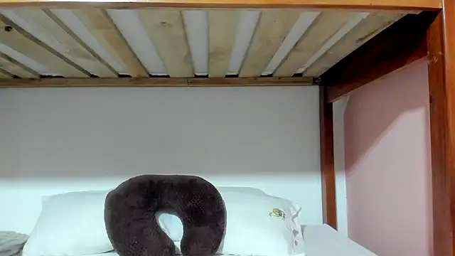 Snapshot of RedNDizzy chatting on 03.01.26 RedNDizzy online show from 03.01.26