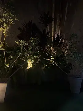 EmmaJhoons online show from 01.18.26