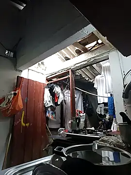 Snapshot of PatriciaGrajales chatting on 03.15.26 PatriciaGrajales online show from 03.15.26