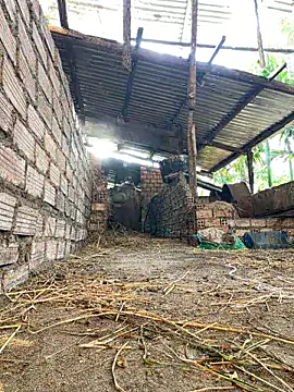 Ginny 2x online show from 02.15.26