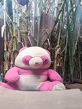 Snapshot of leona118 chatting on 02.11.26 leona118 online show from 02.11.26