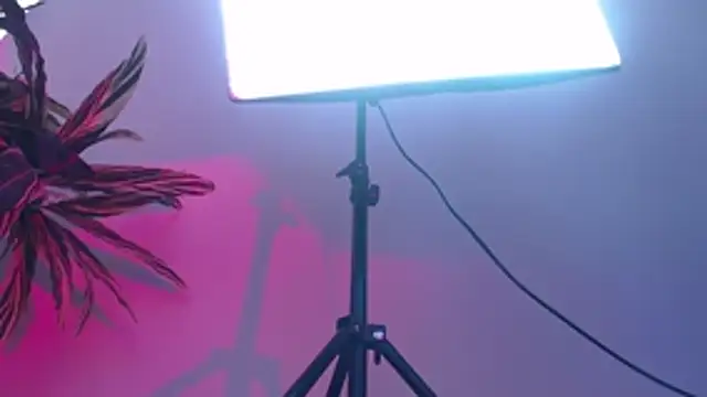 KimiNaru online show from 03.03.26