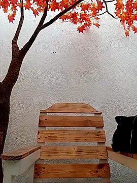 Dante Knox online show from 03.11.26