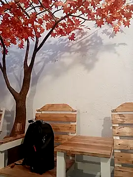 Dante Knox online show from 04.17.26