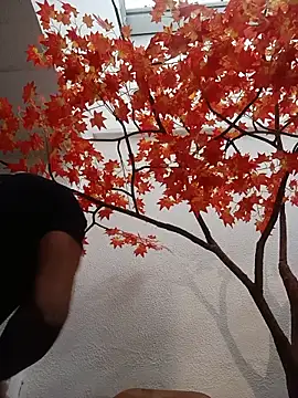 Dante Knox online show from 06.01.26