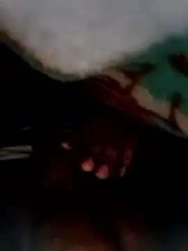 entrainer99 online show from 01.09.26