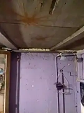 Snapshot of Guanatos13 chatting on 02.02.26 Guanatos13 online show from 02.02.26