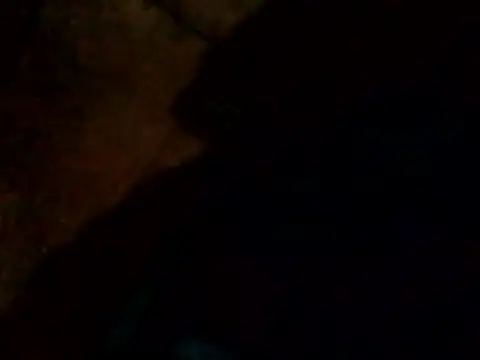 Snapshot of Guanatos13 chatting on 02.24.26 Guanatos13 online show from 02.24.26