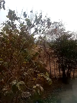 Snapshot of DesiPlayboy09 chatting on 02.22.26 DesiPlayboy09 online show from 02.22.26