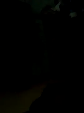 Notty 67 online show from 03.05.26