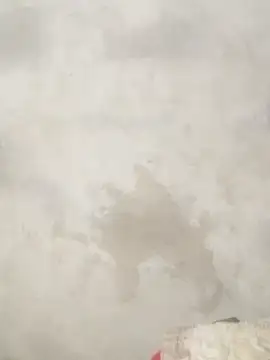 Savi-cute online show from 02.21.26