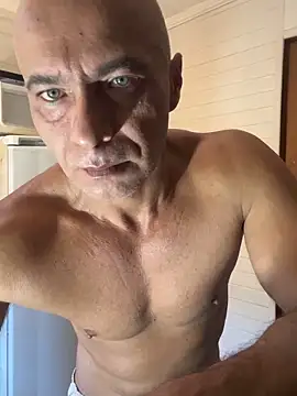 dogfrota online show from 02.04.26