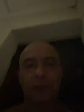 dogfrota online show from 02.28.26