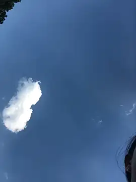 sun-shii online show from 04.09.26