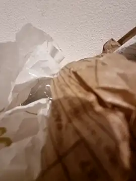 alessandrefabio online show from 01.11.26