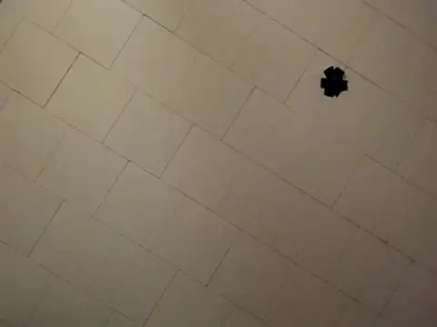 Snapshot of sterng6969 chatting on 04.09.26 sterng6969 online show from 04.09.26